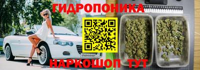 шишки Канаш