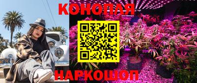 наркотики Камышлов