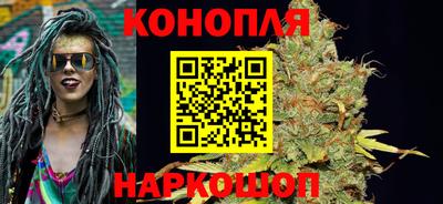 ГАЛЛЮЦИНОГЕННЫЕ ГРИБЫ Кандалакша