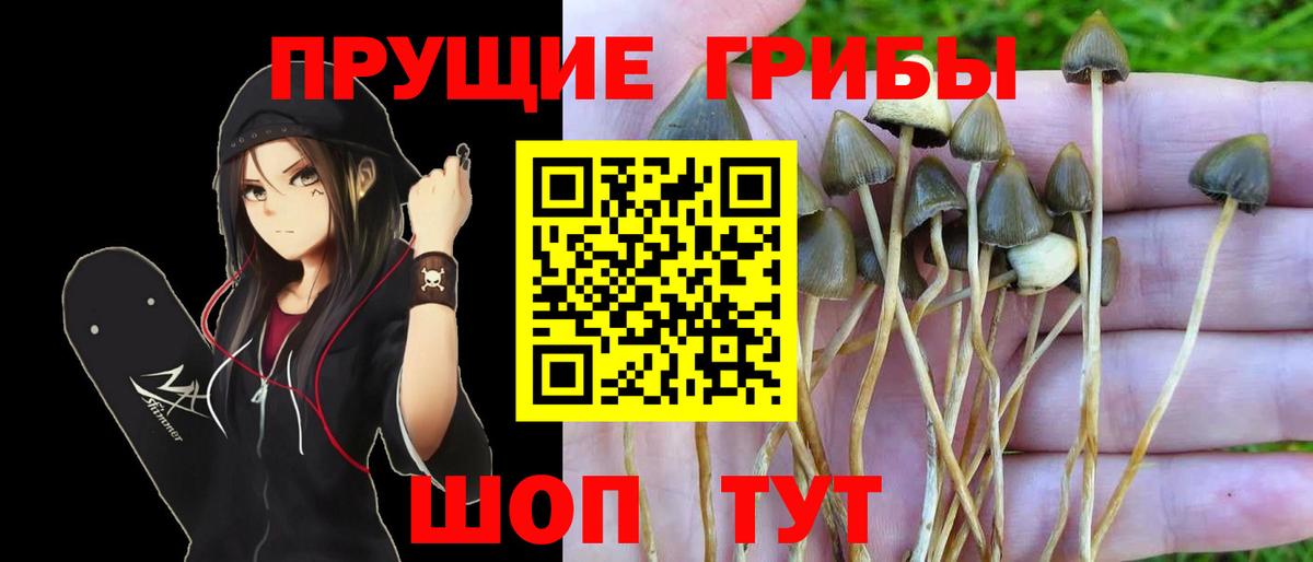 Галлюциногенные грибы MAGIC MUSHROOMS  Псилоцибиновые грибы MAGIC MUSHROOMS  Чита  Вход с VPN 